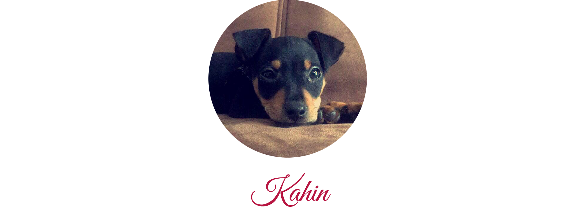 kahin